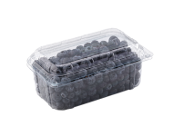 Packaging for berries with combined lid TL-500 ml. 16oz.